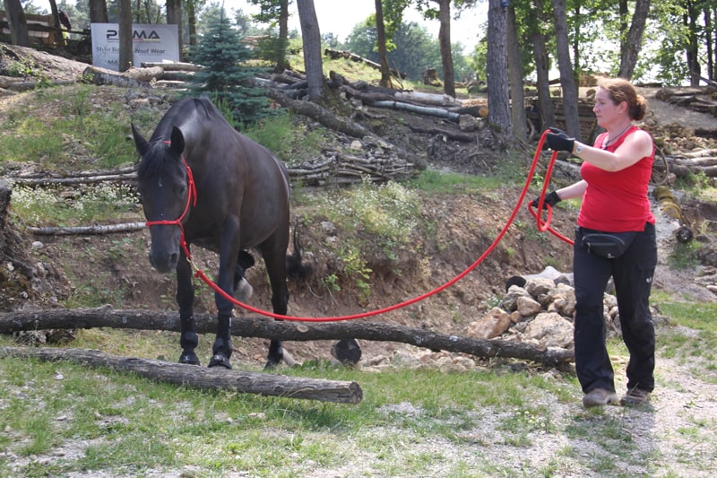 Nadine-Kostroun-MKA-Horsemanshiptrainerin-Pferdetrainer-Norddeutschland-1